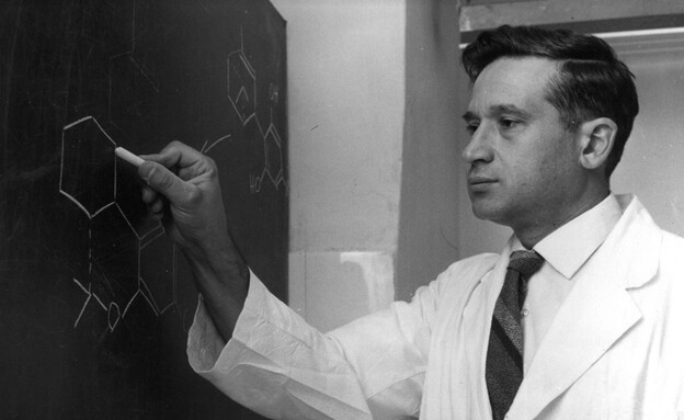 Professeur Raphael Meshulam, 1967 (Photo : Braun Werner)