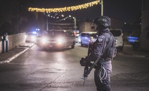 תפיסת נשק בחברה הערבית (צילום: דוברות המשטרה)