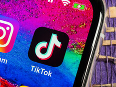 טיקטוק (אילוסטרציה: BigTunaOnline, shutterstock)