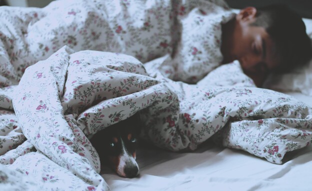 איש ישן במיטה עם כלב (צילום: unsplash)