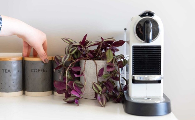 פינת קפה עיצוב שרית סיטבון טייך  (צילום:  נויה שילוני חביב)