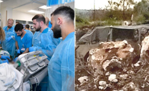 הטיפול בחיילי צה"ל שנפצעו בגבול לבנון (צילום: דוברות בית החולים הגליל \ רשתות חברתיות לפי סעיף 27א')