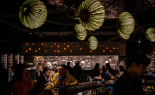 מסעדת אניבא,  (צילום: Jasper Yu ו-Foragers)