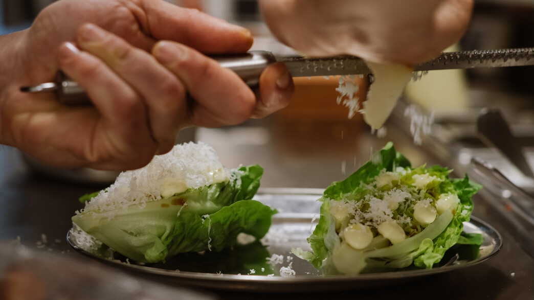 סנטי גיא הריש חסה סנטי גיא הריש חסה