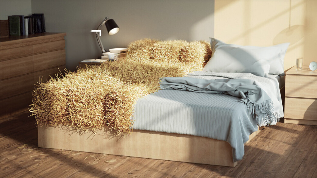 אטופיק דרמטיטיס אטופיק דרמטיטיס