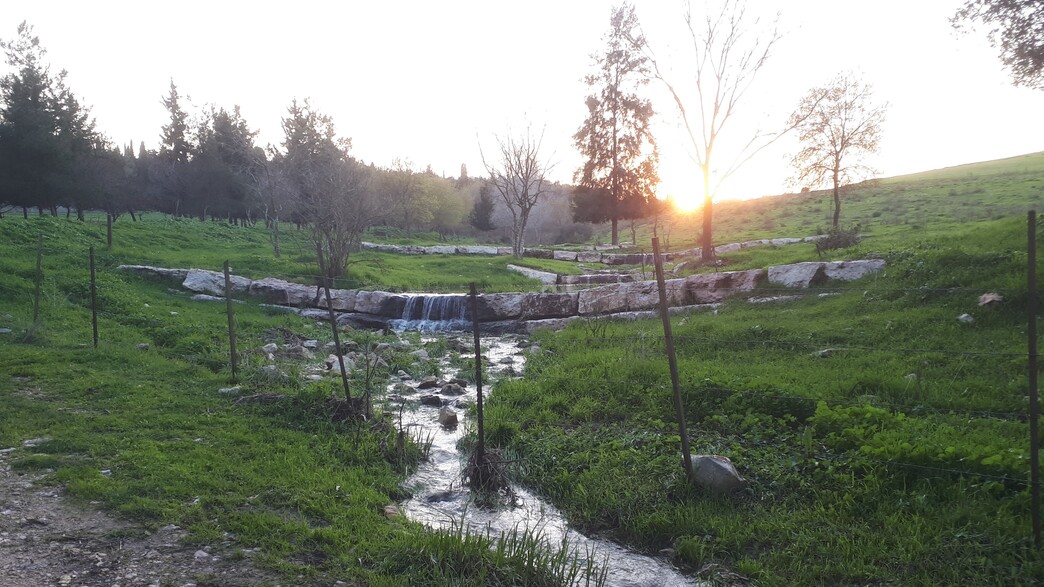 נוף לאורך מסלול שביל מגידו נוף לאורך מסלול שביל מגידו