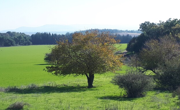 גבעת יאשיהו  (צילום: איציק בן דב, החברה להגנת הטבע )