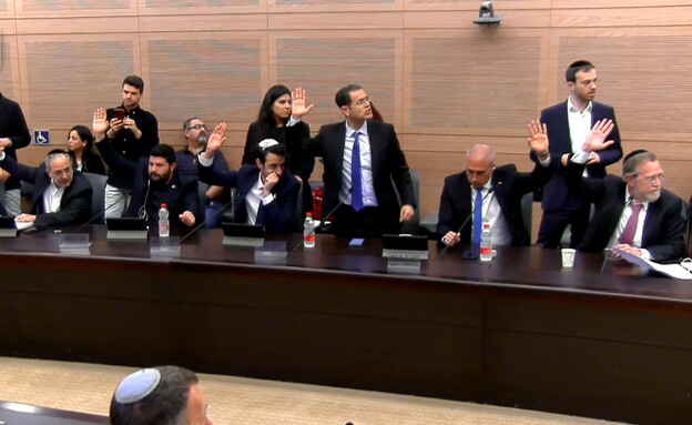 חברי הכנסת מרימים ידיים בועדת חוקה (צילום: ערוץ הכנסת)