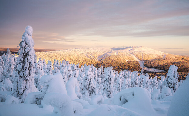 Lapland, Finland (צילום: Tommi Sassi, shutterstock)