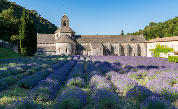 Abbaye Notre-Dame de Sénanque, Gordes, France (צילום: Daniel Lange, shutterstock)