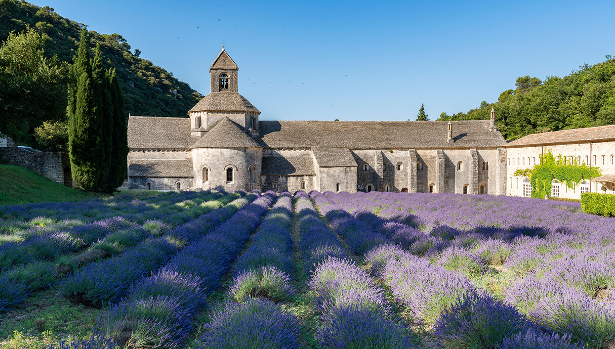 Abbaye Notre-Dame de Sénanque, Gordes, France