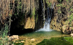 מפל ומעיין סודיים  (צילום: שלי גולדשמידט)