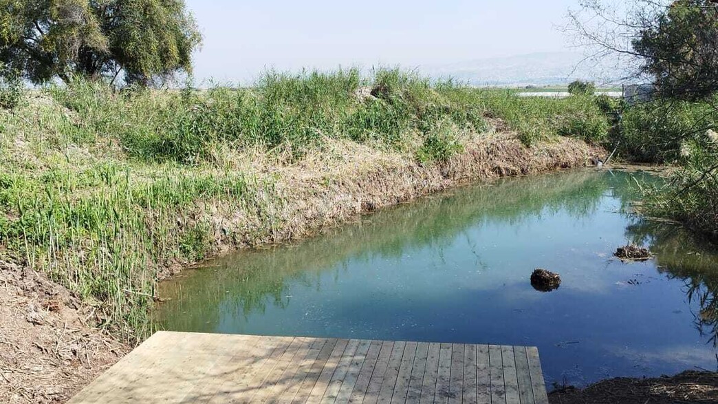 עין יבוק עין יבוק