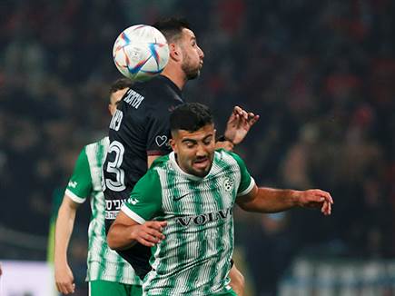 חיפה שמרה היטב (צילום: אלן שיבר)