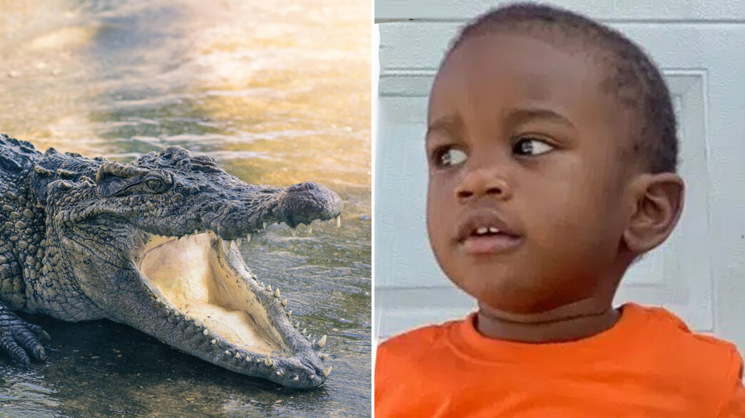 תנין,ילד, תקיפה תנין,ילד, תקיפה