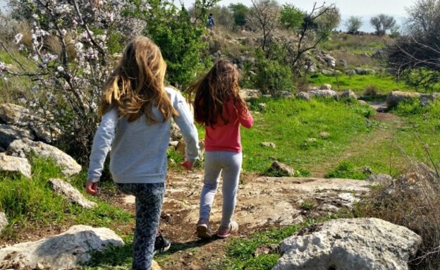 גבעות דרומיות 