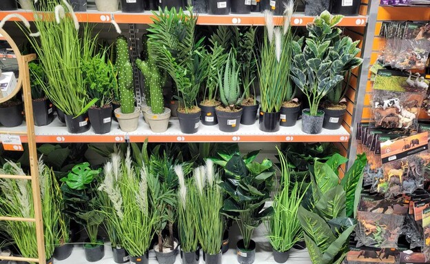 צמחים מפלסטיק, צמחים מלאכותיים  (צילום:  אלון רזניק)