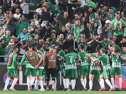 התשובה של חיפה (אלן שיבר)