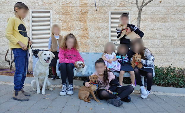 ילדי רחוב חבקוק והכלבים שלהם (צילום: n12)
