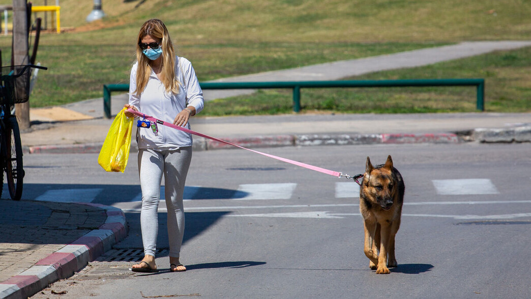 אישה מטיילת עם כלב מסוג רועה גרמני אישה מטיילת עם כלב מסוג רועה גרמני