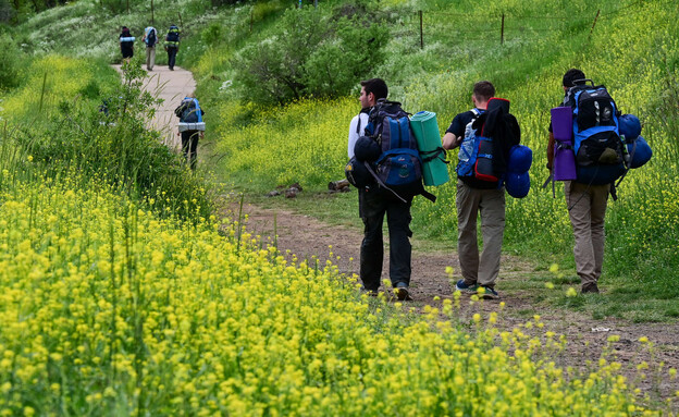 רמת הגולן (צילום: מיכאל גלעדי, פלאש 90)