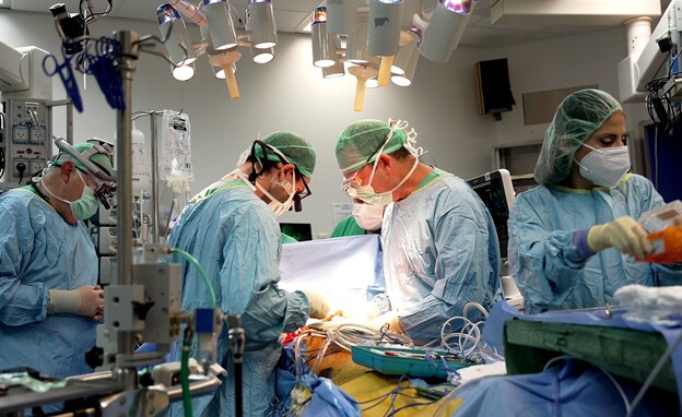 ניתוח השתלת איבריה של לוסי די ז"ל