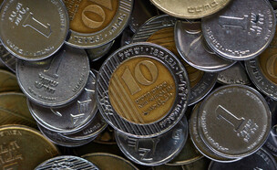 כסף, מטבע, ש"ח, שקל חדש, שקלים (צילום: אוראל כהן, פלאש 90)