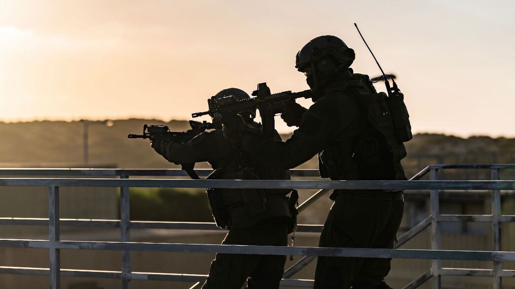 יחידת שלדג יחידת שלדג