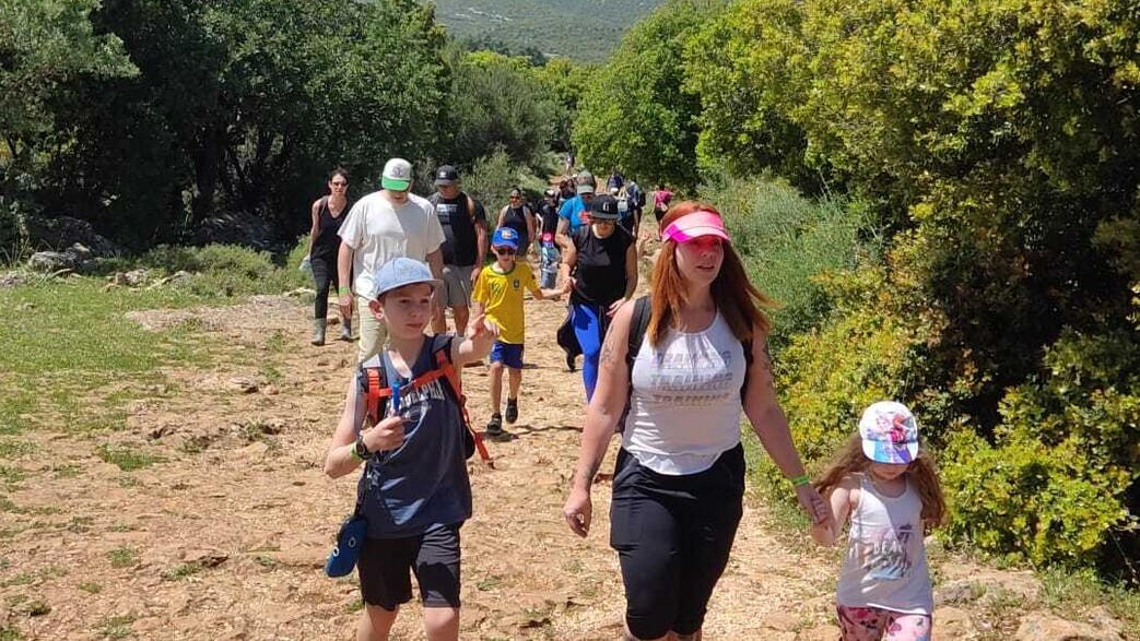 נחל עמוד עליון