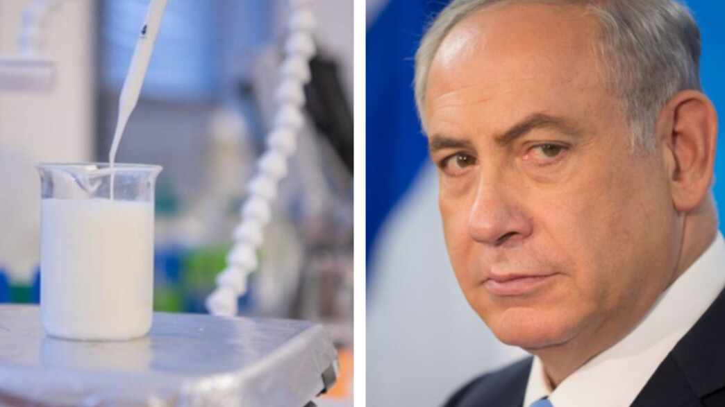 ביבי ורילמילק ביבי ורילמילק