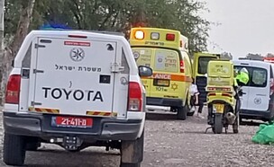 חיפושים בכנרת