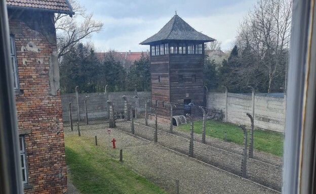 מחנה אושוויץ, מצעד החיים, שואה (צילום: n12)