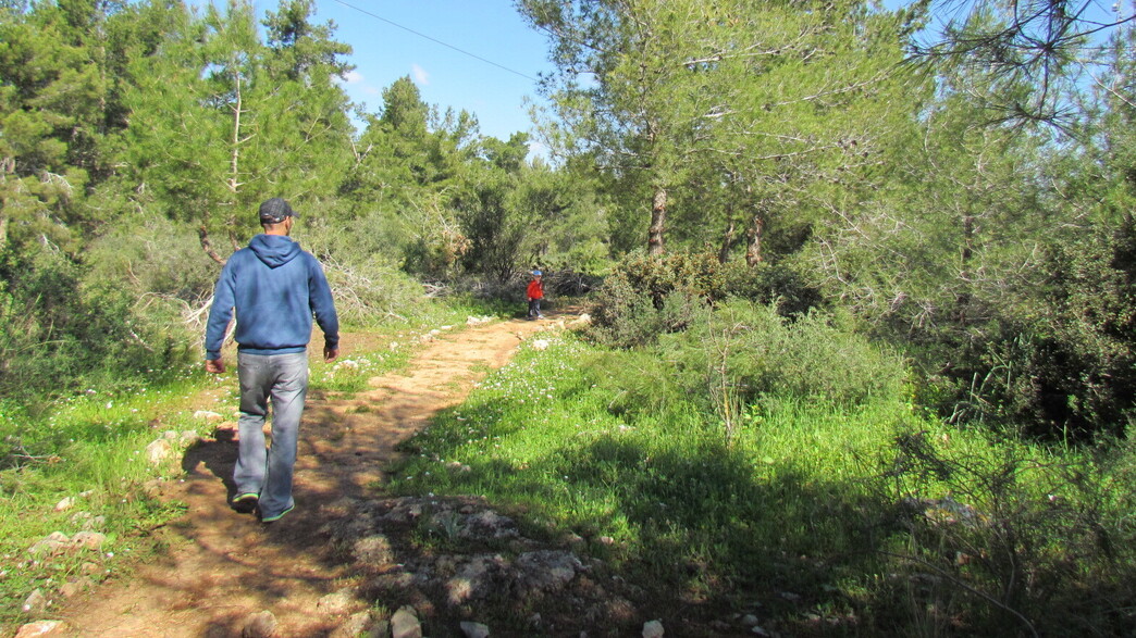 קולה (צילום: עינב לנדאו)