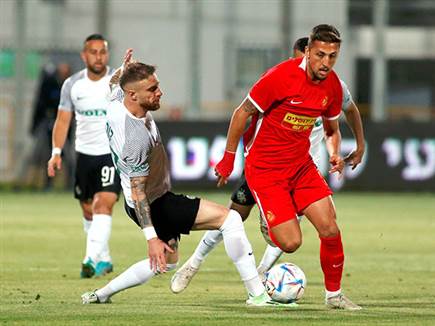 מלחמת התשה ארוכה (אלן שיבר)