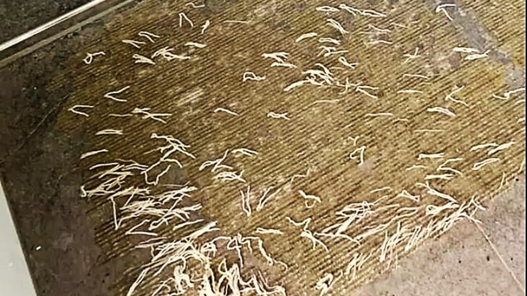 שטיח אמבטיה שנראה כמו תולעים שטיח אמבטיה שנראה כמו תולעים