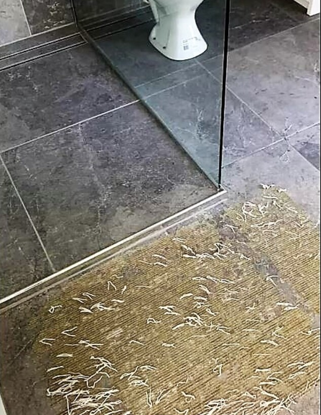 שטיח אמבטיה שנראה כמו תולעים (צילום: קבוצת הפייסבוק Cleaning & Organizing Inspiration Australia)