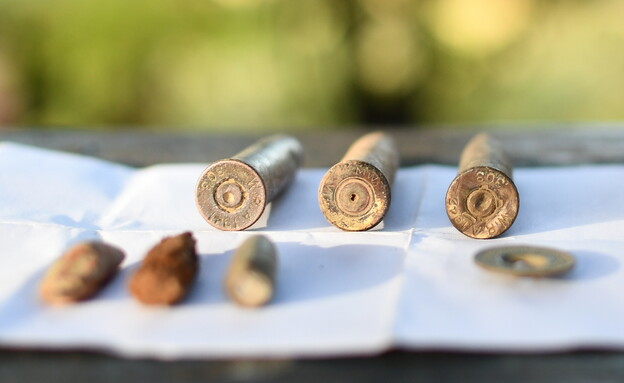 תרמילי מקלע ברן ורובה לי אנפילד שהתגלו (צילום: יולי שוורץ, רשות העתיקות)
