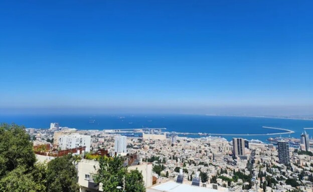 מדלן אפריל, יפה נוף חיפה 1  (צילום: אסי אלגרסי)