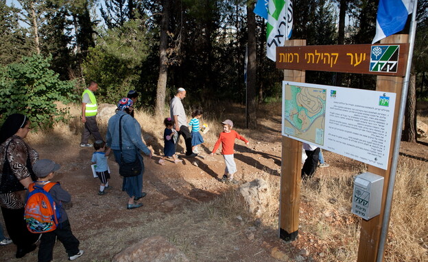 יער קהילתי רמות - קרן קימת לישראל (צילום: אמיל סלמן ג'יני)