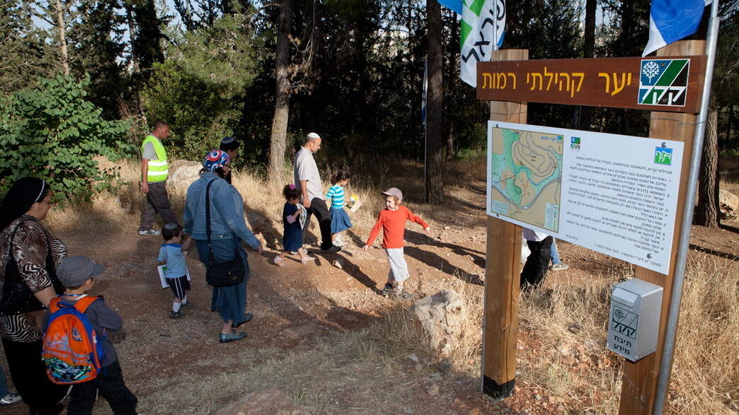 יער קהילתי רמות - קרן קימת לישראל