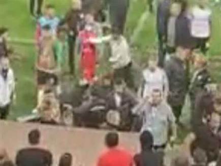 האגרוף של זערורה