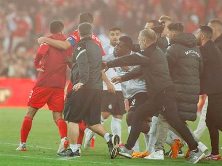 ייענשו בחומרה (אלן שיבר)