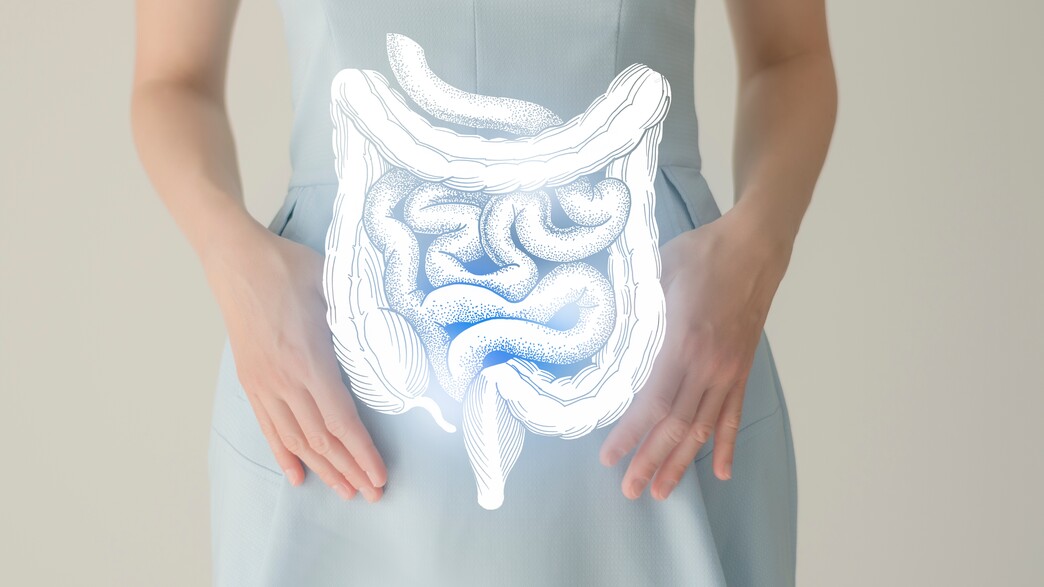 פרו-ביוטיקה 