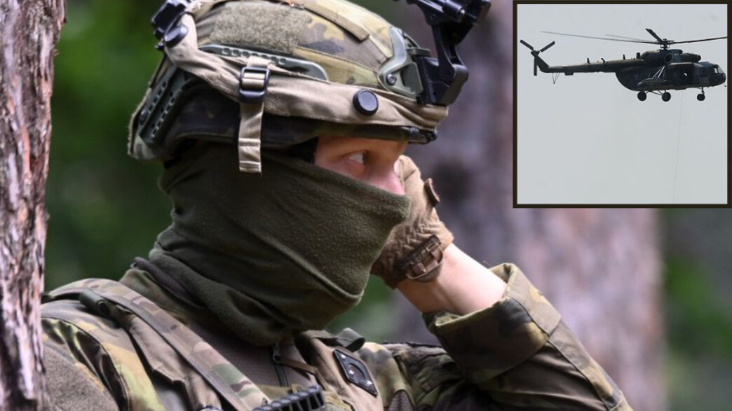 כוחות הצבא הזר בפעולה