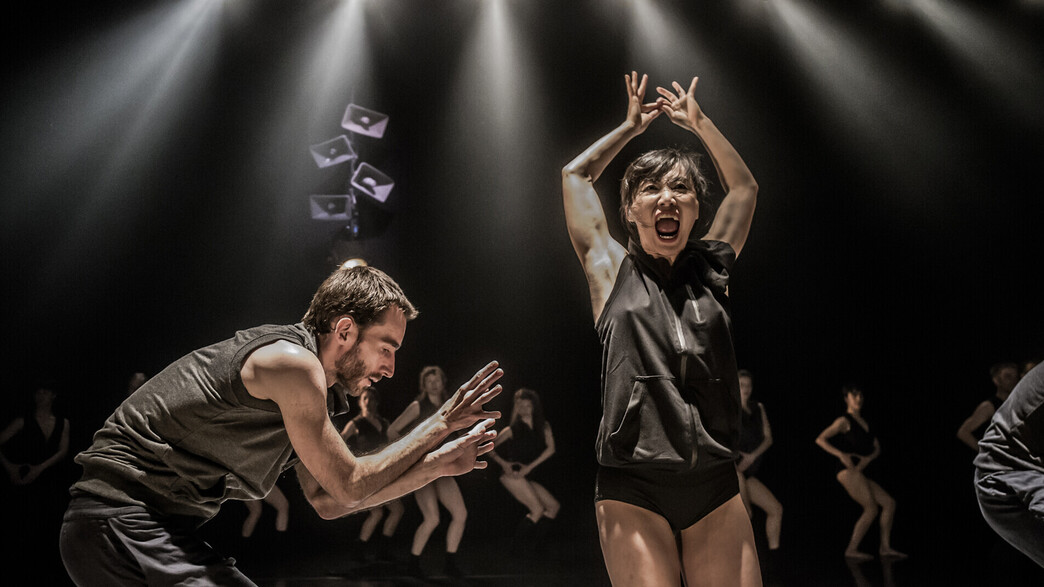 שבוע המצוינות הישראלית - להקת המחול הקיבוצי שבוע המצוינות הישראלית - להקת המחול הקיבוצי