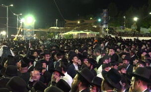 ההילולה במירון (צילום: n12)