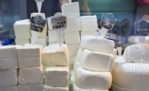 גבינות לבנות במעדנייה בסופרמרקט (צילום: dominique landau, shutterstock)