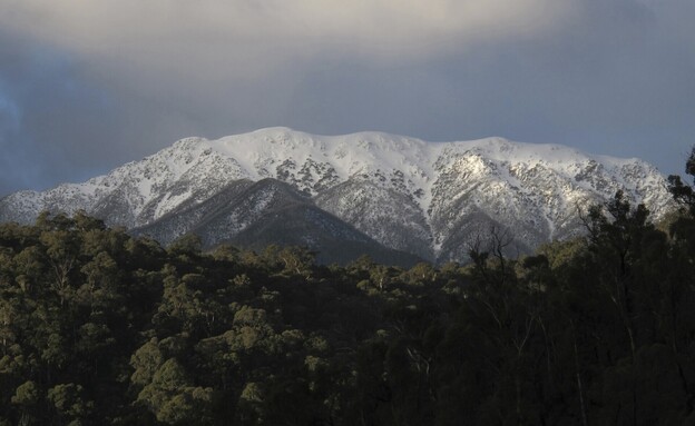 האלפים האוסטרליים (צילום: Auscape, Getty Images)