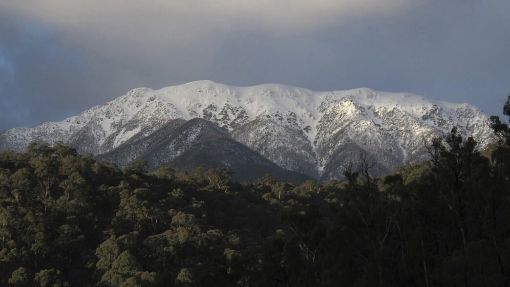 האלפים האוסטרליים