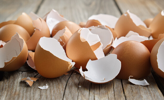 קליפות ביצים (צילום: Chamille White, SHUTTERSTOCK)